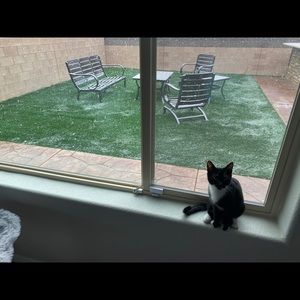 Meet your Posher, Diane